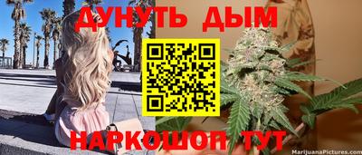 ECSTASY Новозыбков