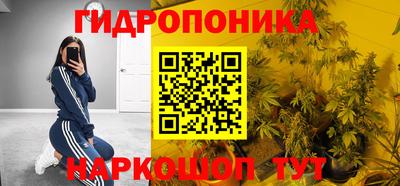 ECSTASY Новозыбков