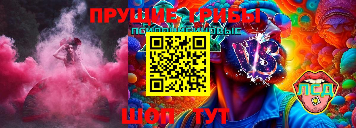 Галлюциногенные грибы Psilocybe  Псилоцибиновые грибы Psilocybine cubensis  Черняховск  Вход с VPN 