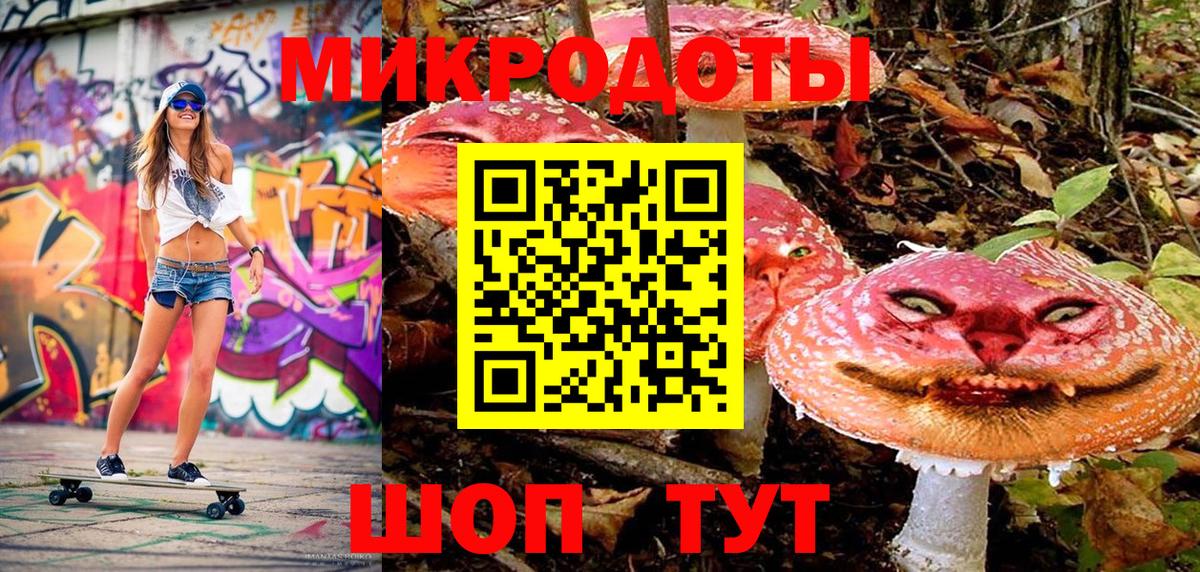 Галлюциногенные грибы прущие грибы Черняховск