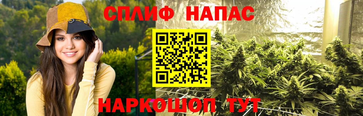 Бошки Шишки планчик  Бошки Шишки марихуана  Марихуана VHQ  Черняховск  Вход с VPN 